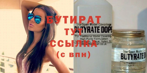 дмт Тайга