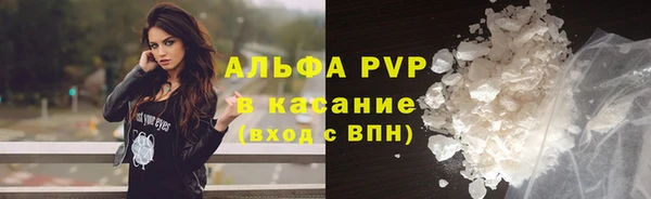 шишки Тавда