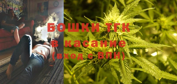 шишки Тавда