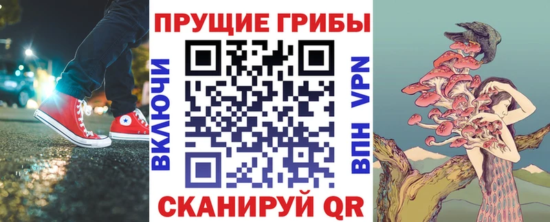 закладка  Знаменск  Галлюциногенные грибы ЛСД 