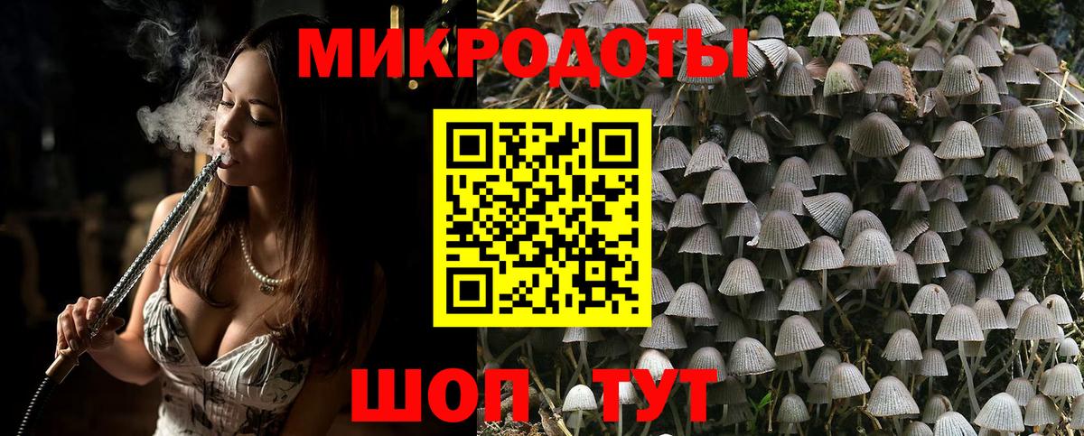 Псилоцибиновые грибы Psilocybine cubensis Знаменск
