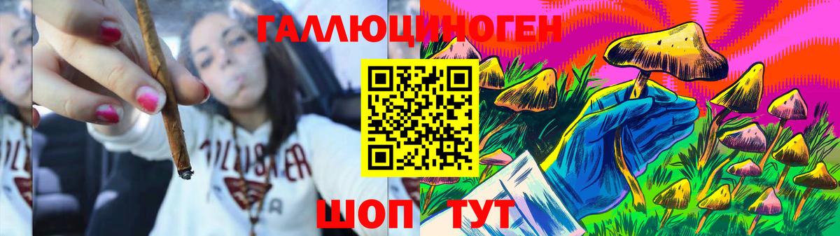 Псилоцибиновые грибы GOLDEN TEACHER Знаменск