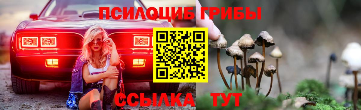 Псилоцибиновые грибы ЛСД  Знаменск 