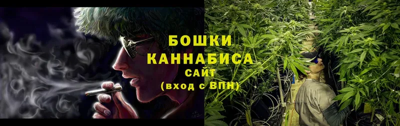 Каннабис SATIVA & INDICA  как найти закладки  Знаменск 